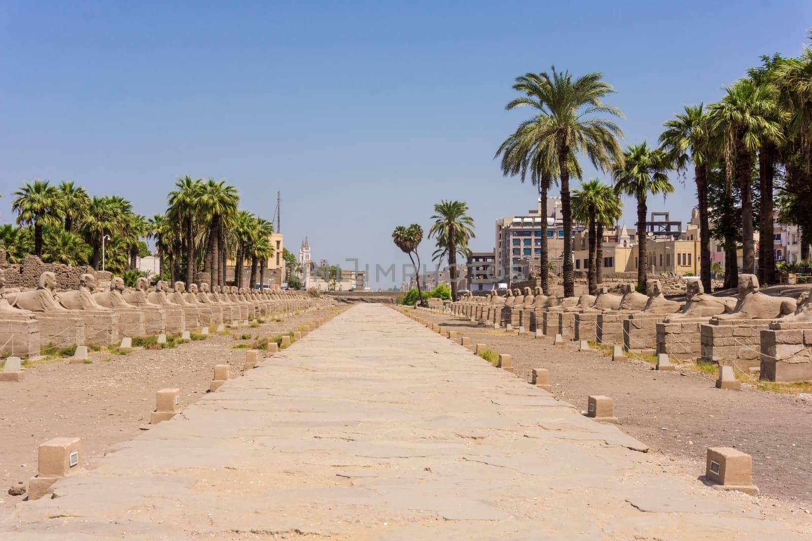 Egyptian sphinxes