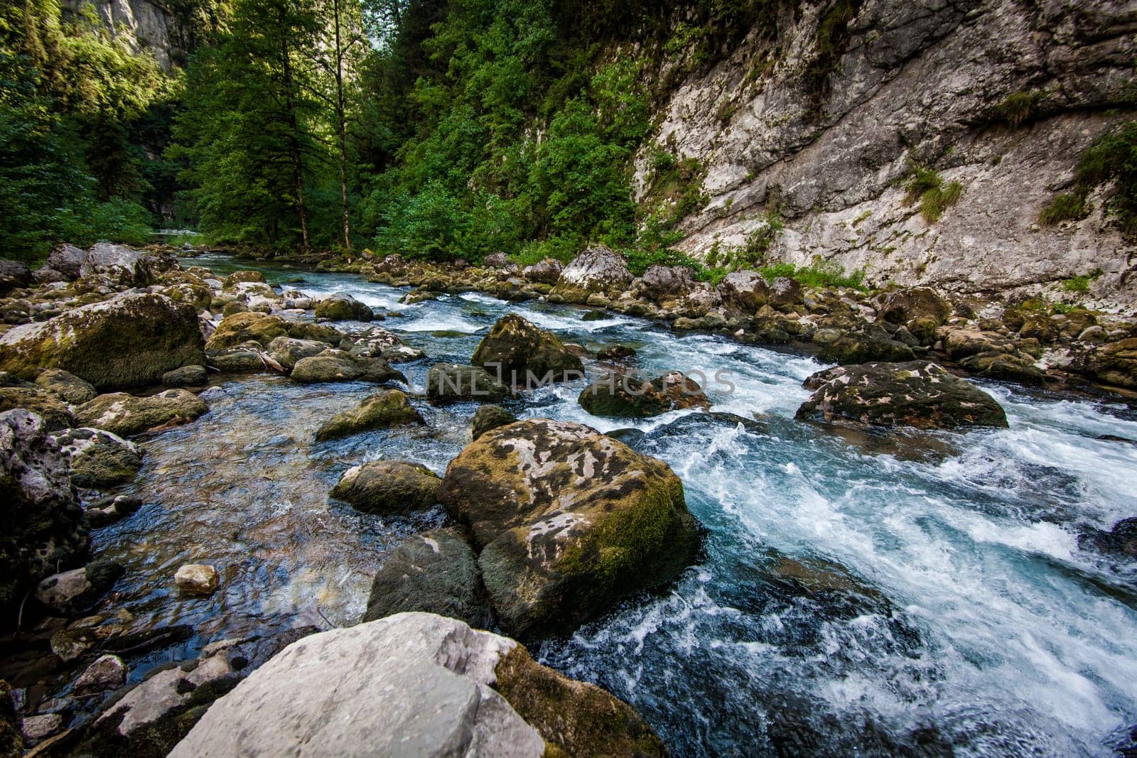 mountain river. Nature composition.  landscape with mountains trees and a river