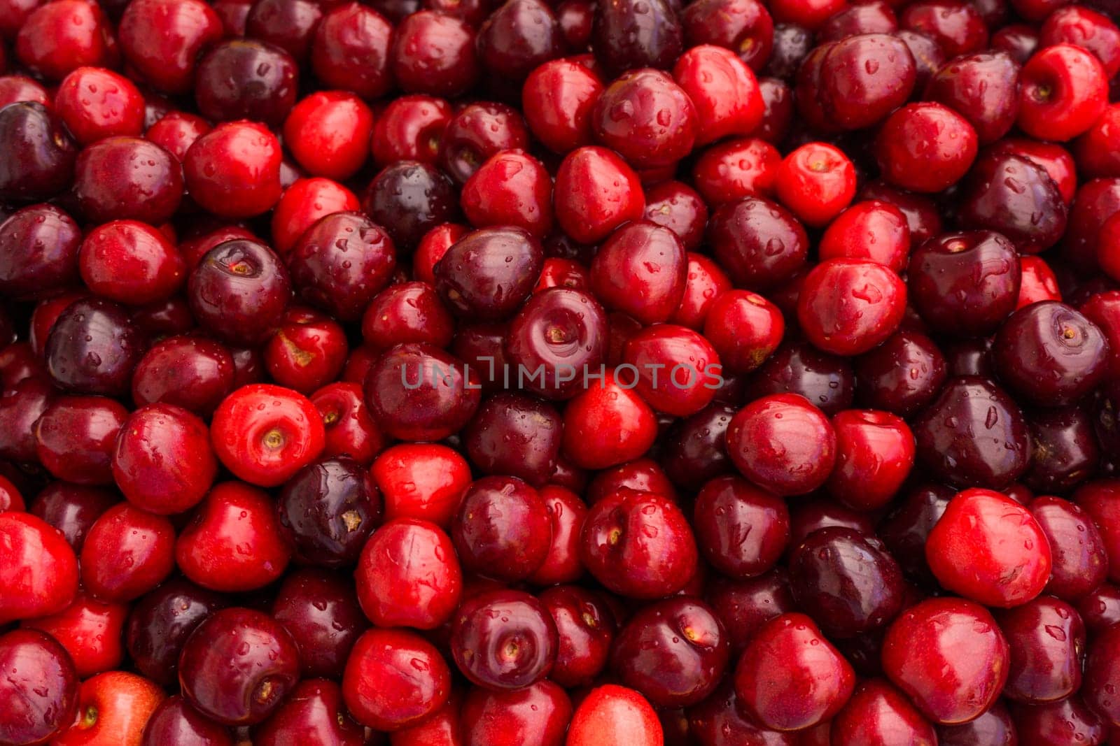 Sweet cherry.  cherry background