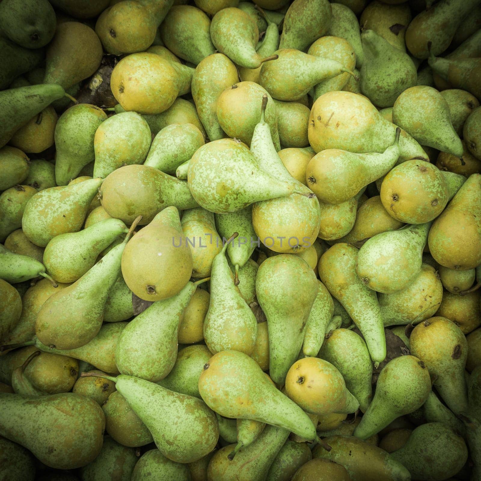 Background of ripe juicy pears