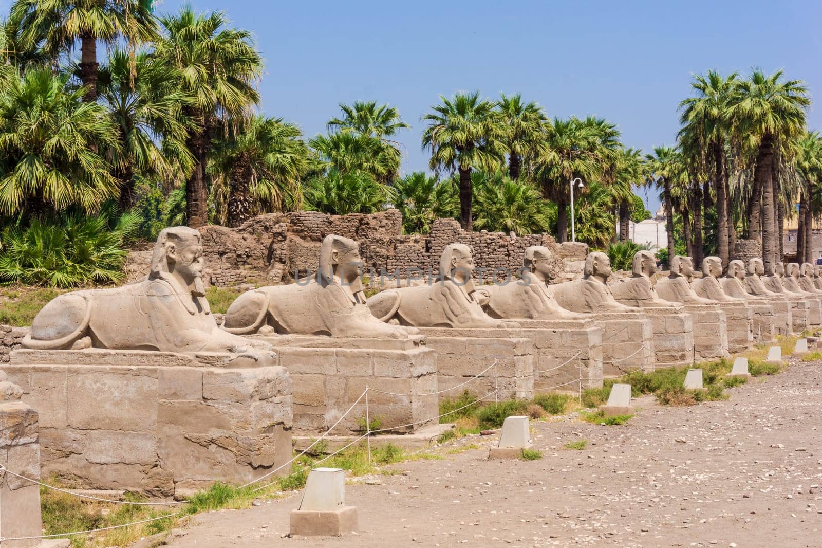Avenue of the Sphinxes, Egypt