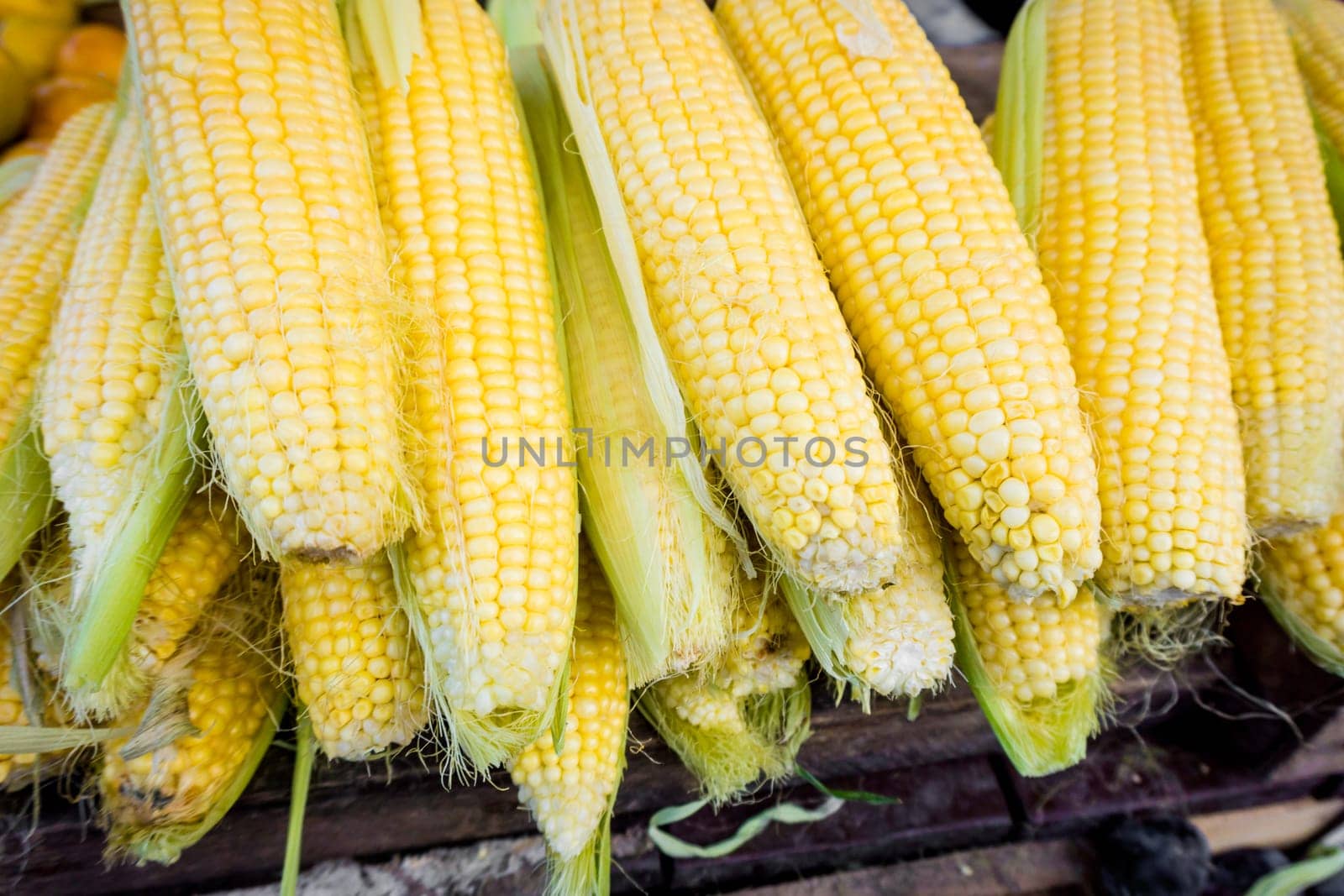 fresh corn. Corn for sale at farmers market
