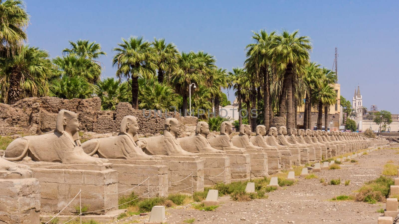 Egyptian sphinxes