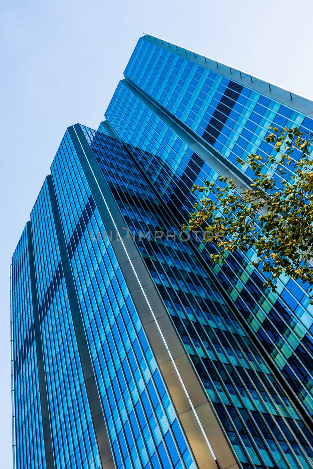 Blue skyscraper facade. office buildings. modern glass silhouettes of skyscrapers