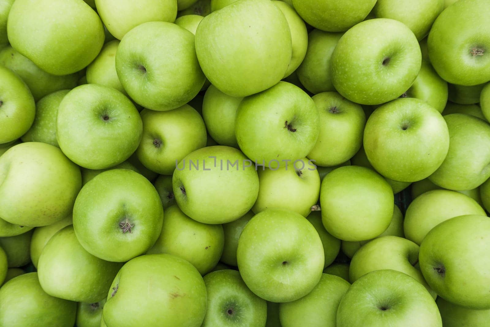 Green Apple Background