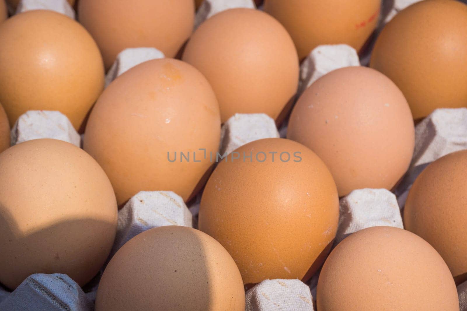 Fresh farm egg. Chicken Egg