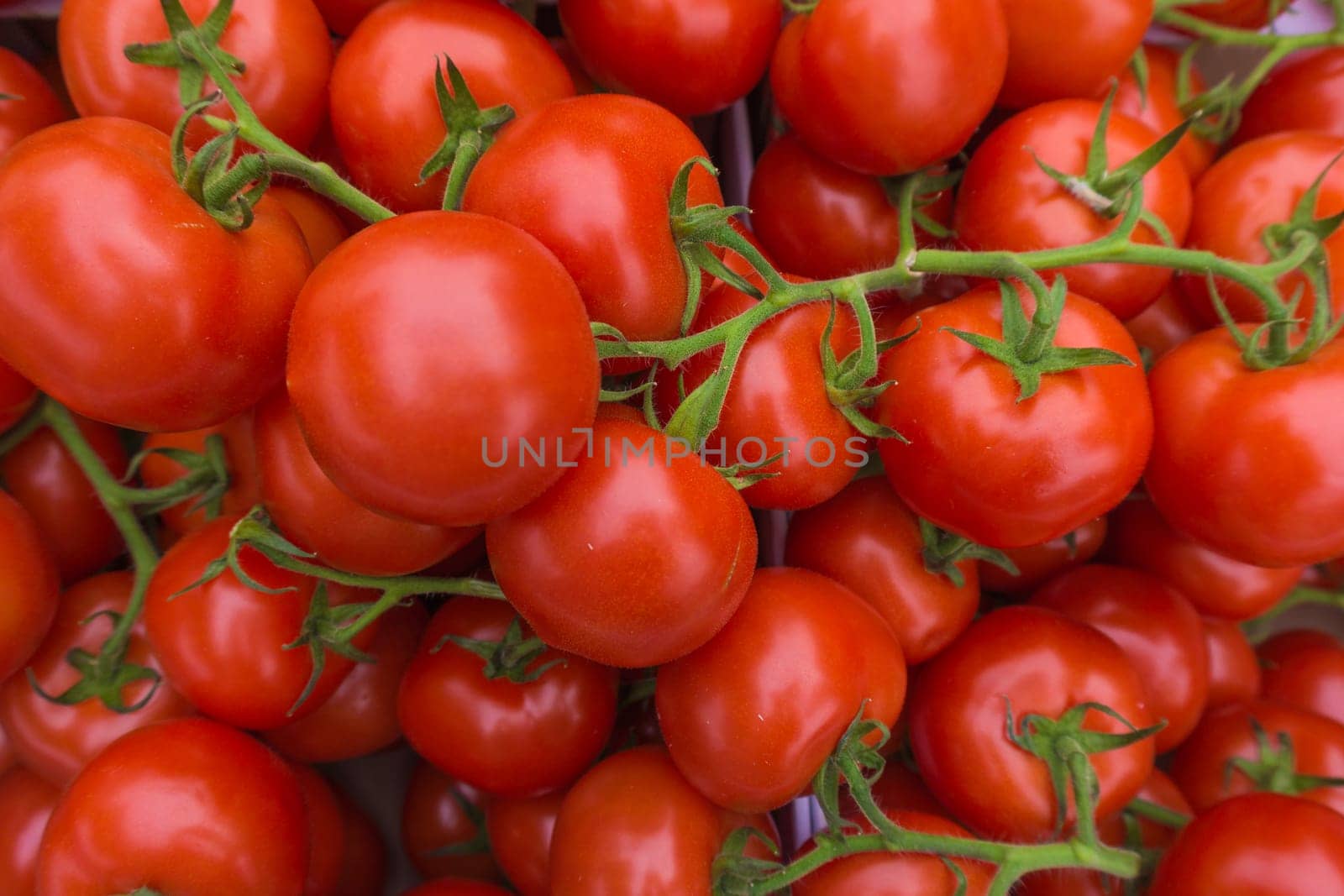 fresh tomatoes. red tomatoes background. Group of tomatoes