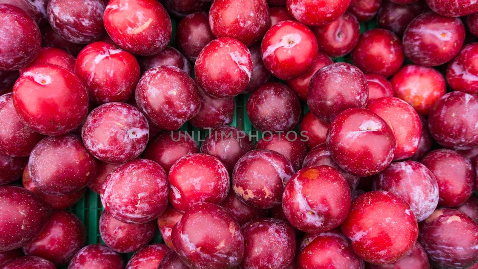 Ripe Plums Background.  Fresh ripe red plums