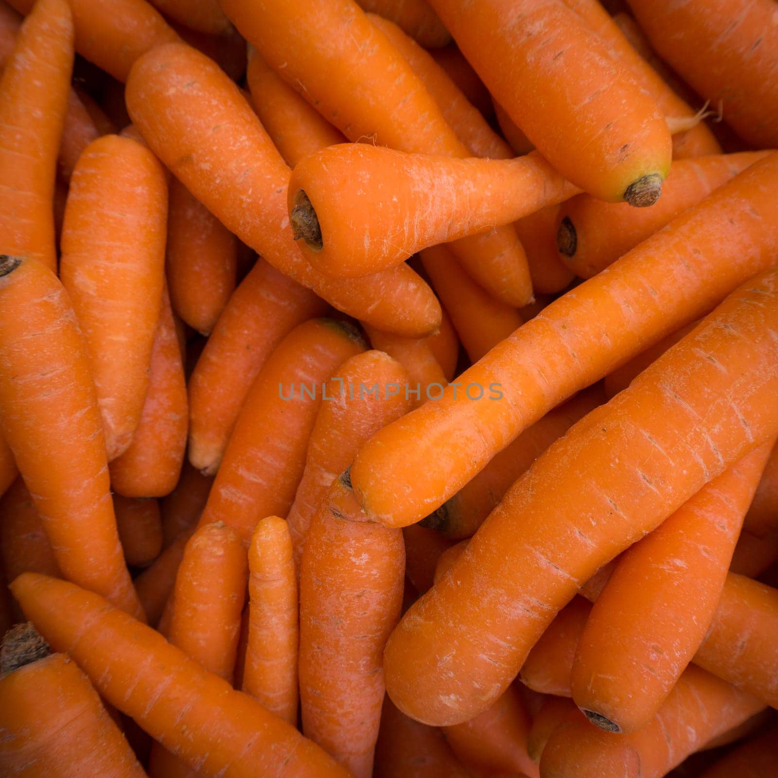 Carrots. Fresh organic carrots. Background texture of carrots.
