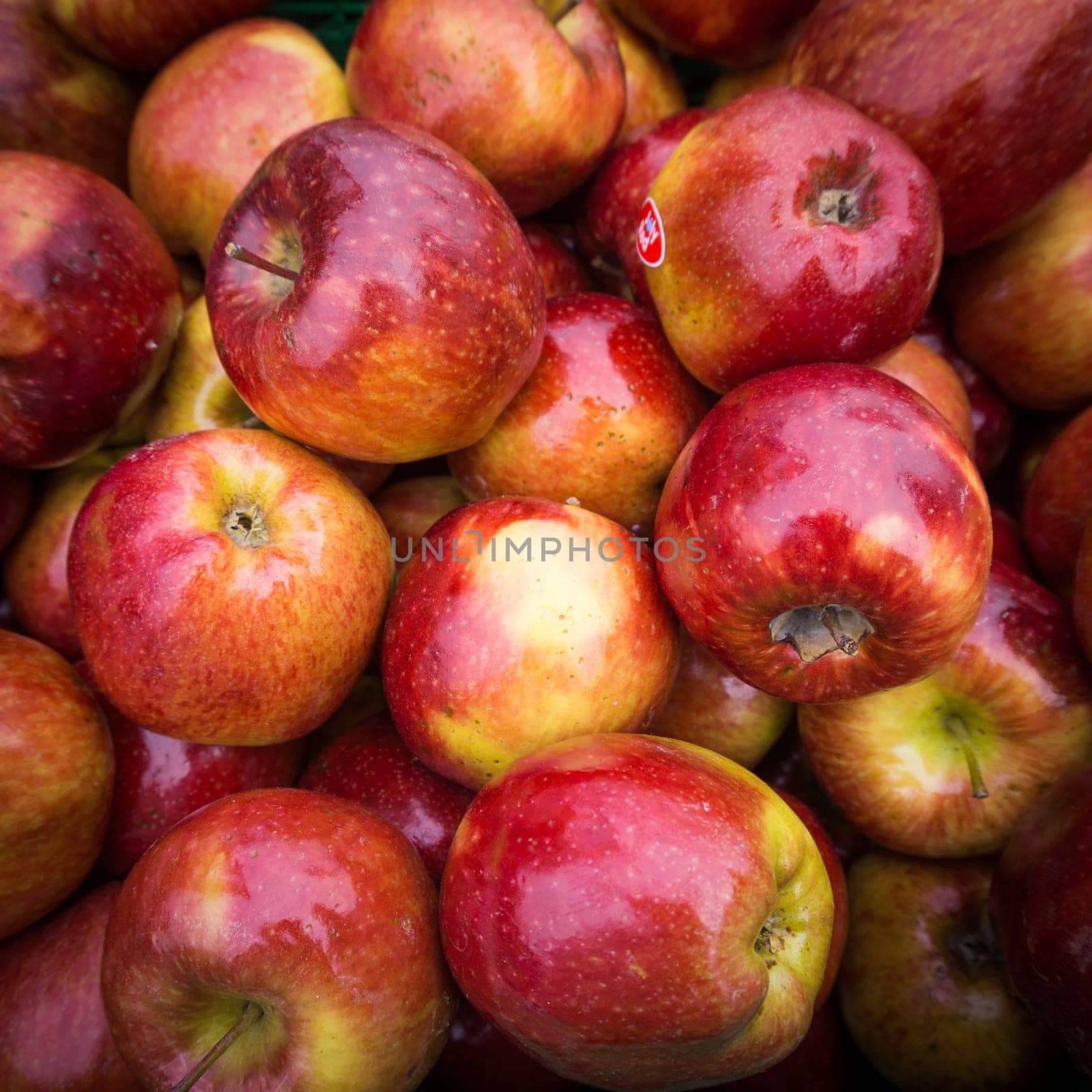 apples close up at market. Red apples background