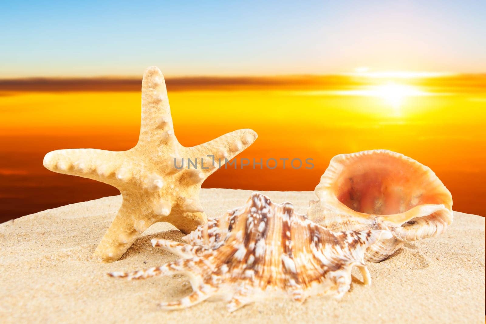 Summer time background. Summer concept