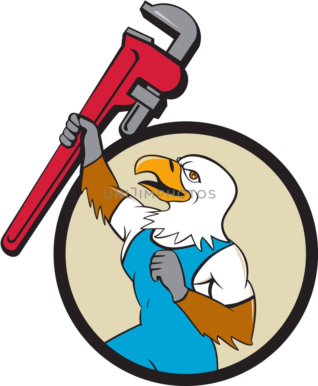 Illustration of a american bald eagle plumber raising up giant pipe wrench adjustable wrench over head looking up viewed from the side set inside circle on isolated background done in cartoon style.