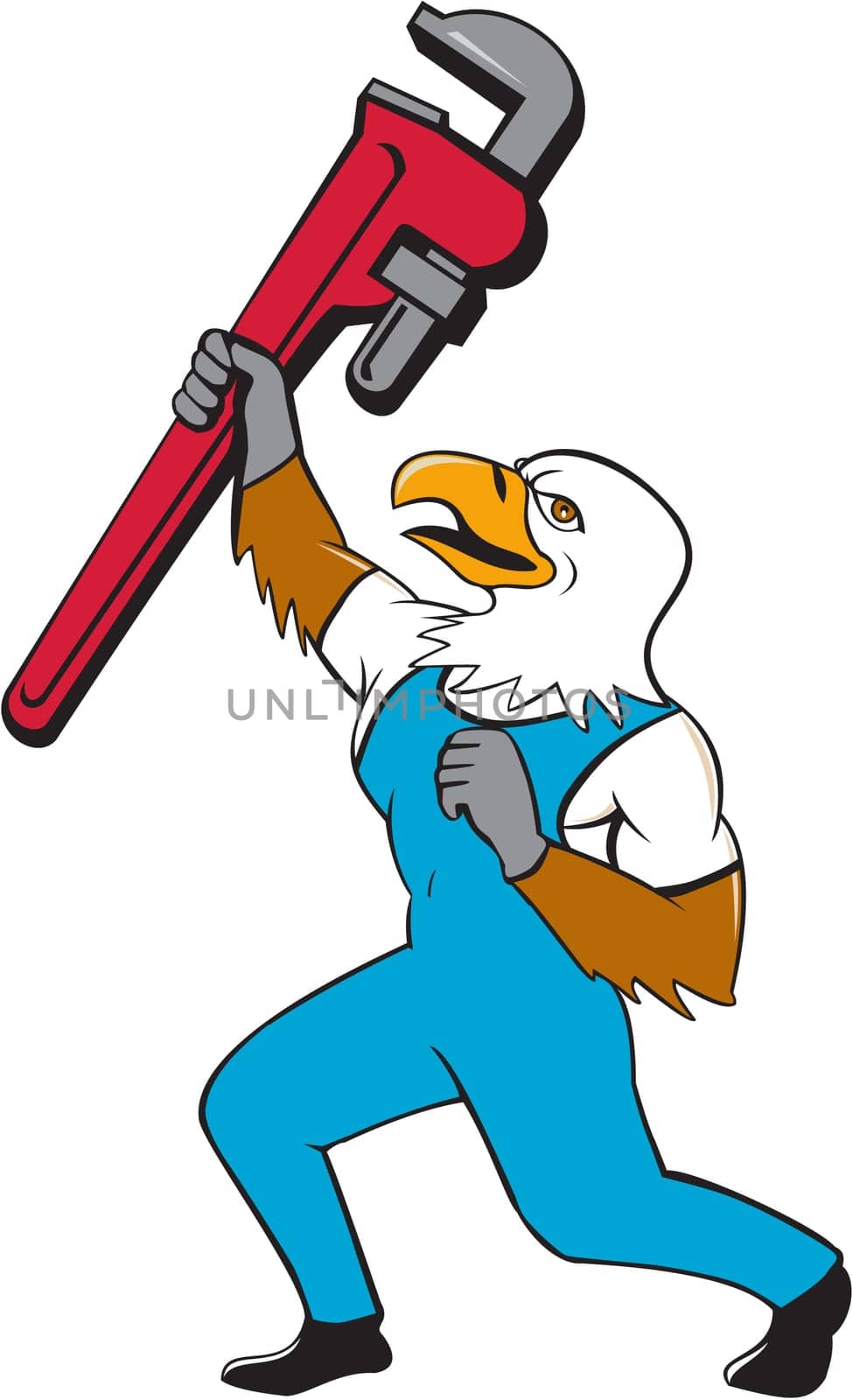 Illustration of a american bald eagle plumber standing with knee bended raising up giant pipe wrench adjustable wrench over head looking up viewed from the side  on isolated white background done in cartoon style.