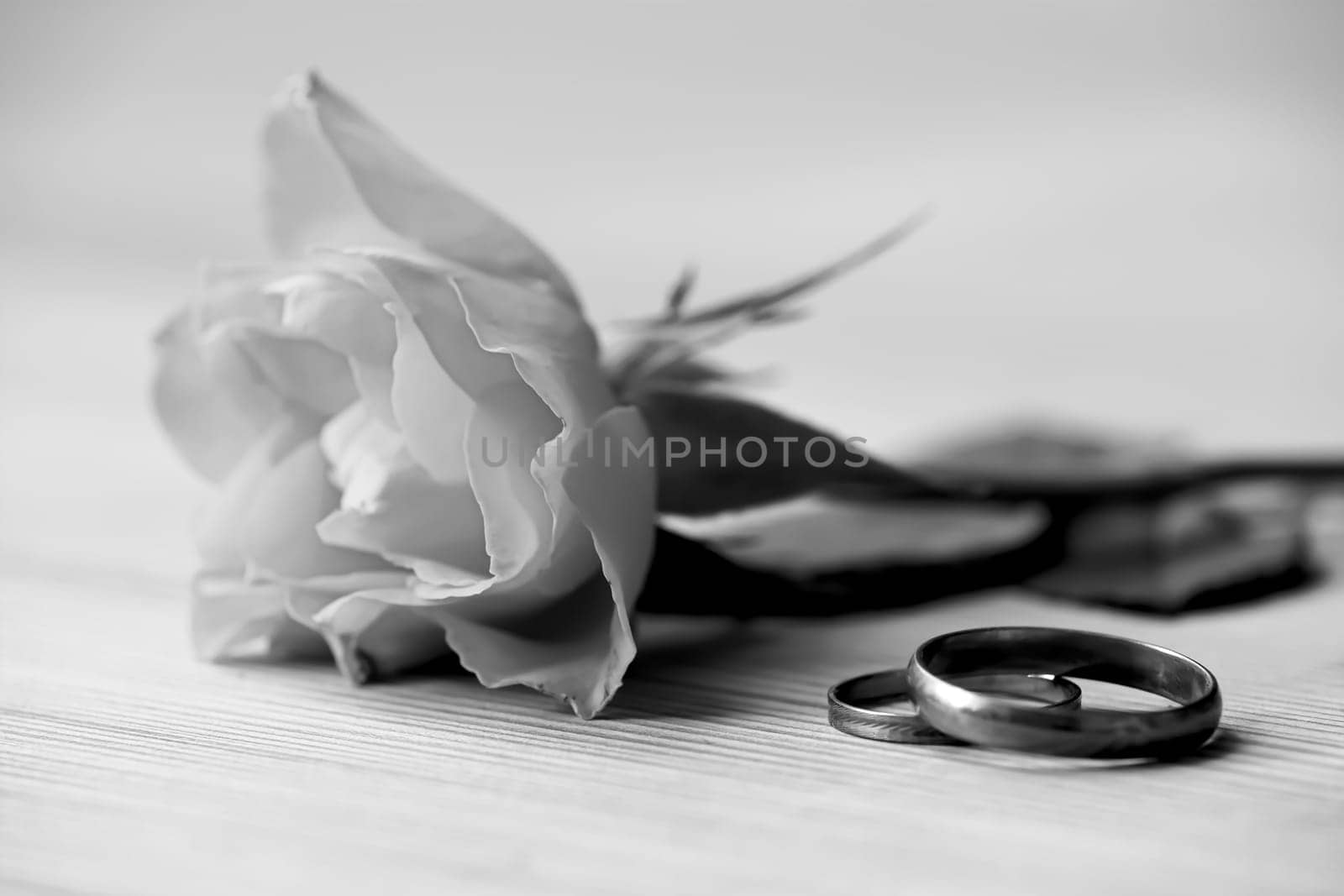 Rose and wedding rings lie on a table