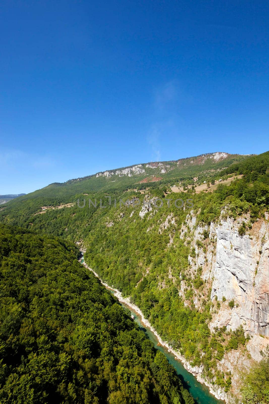 the mountains covered with various trees, other plants, Montenegro