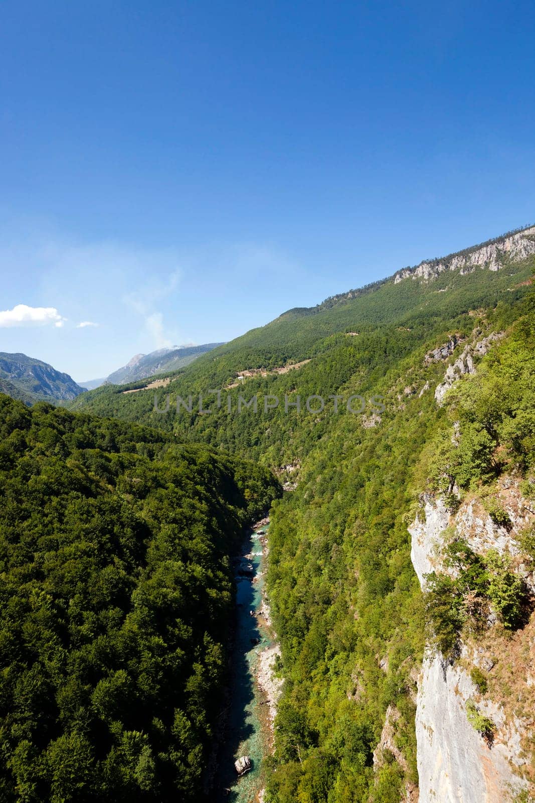 the mountains covered with various trees, other plants, Montenegro