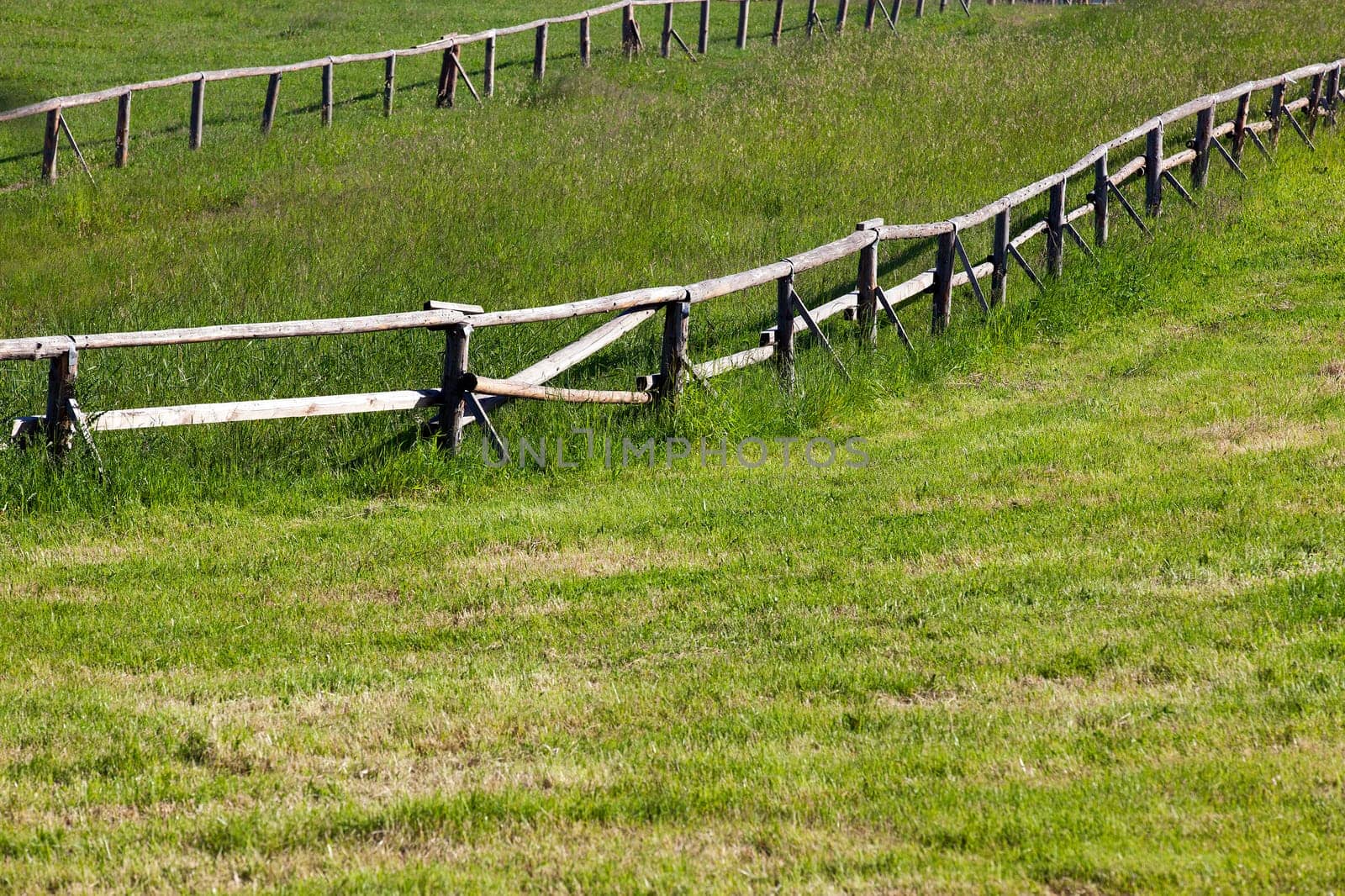an old wooden fence for animals raised on the farm. Spring, green grass