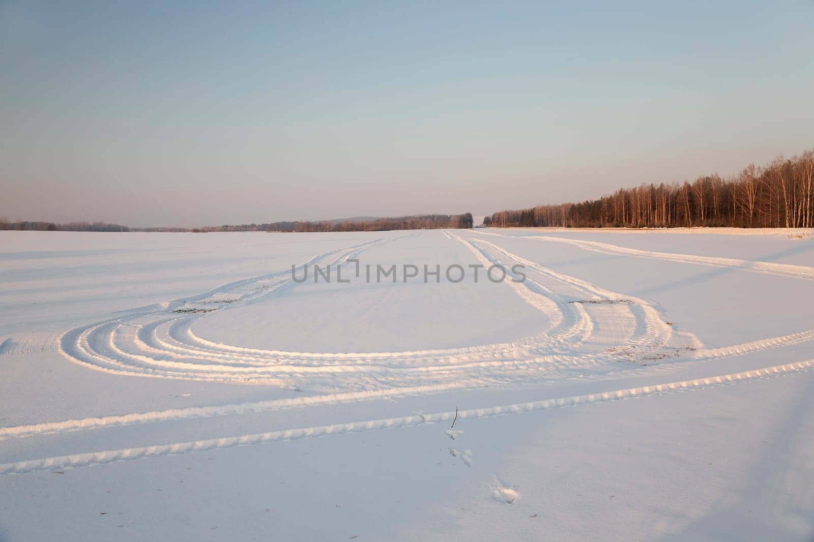 the marks of the wheels of the car in a field covered with snow. Around the trees of the field.
