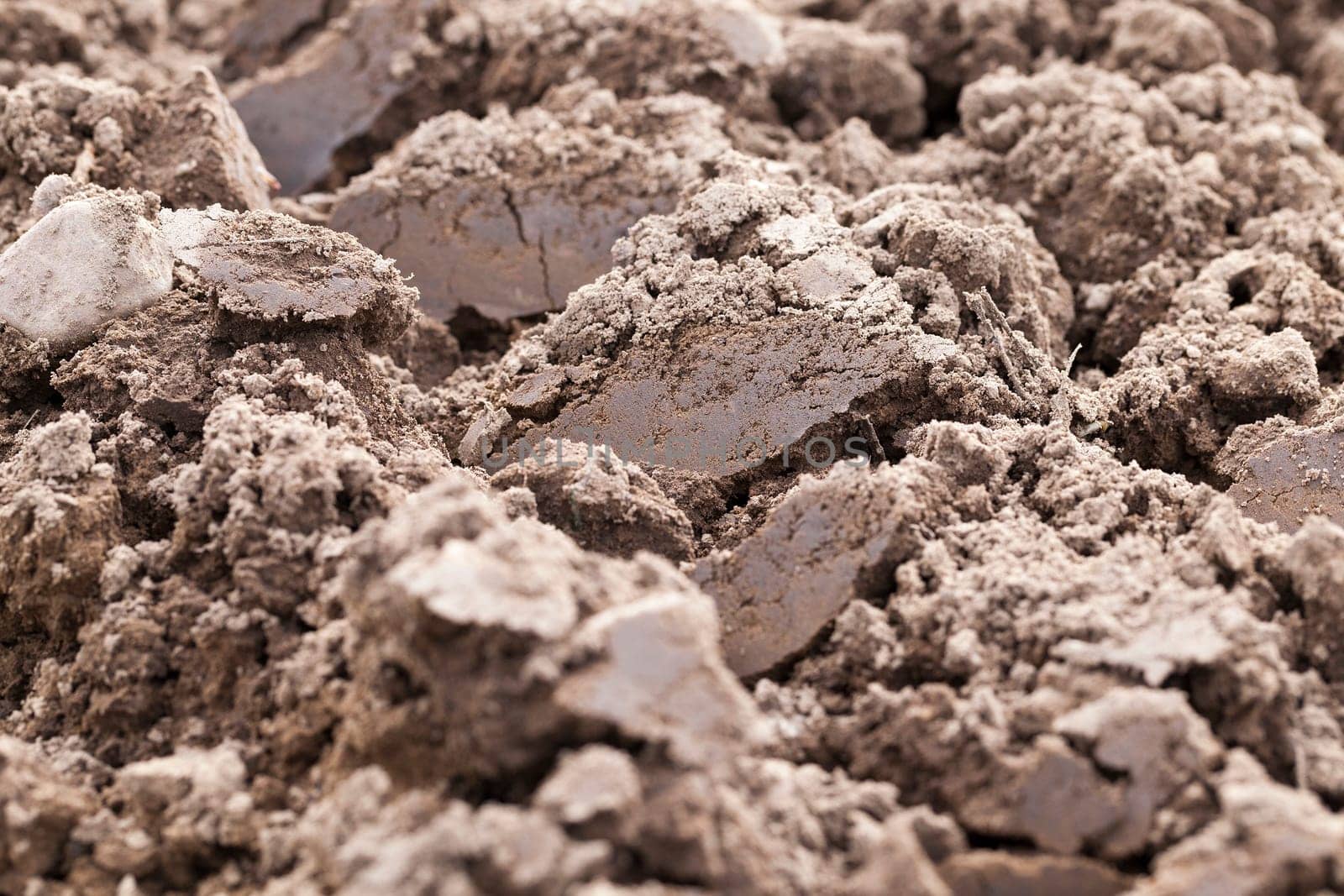 on a plowed field agricultural land intended for planting and growing food