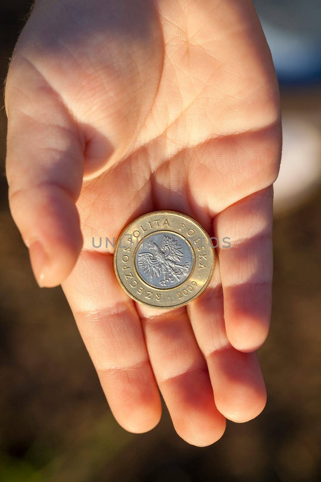 Polish zloty, photographed in the hands of a small child, close-up