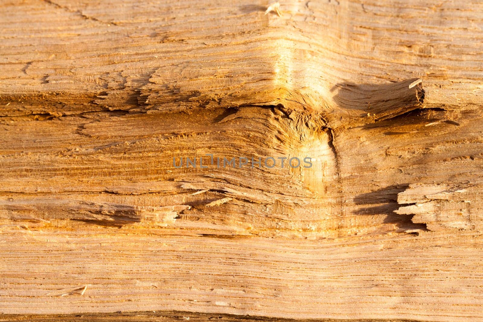 photographed close up board made of wood