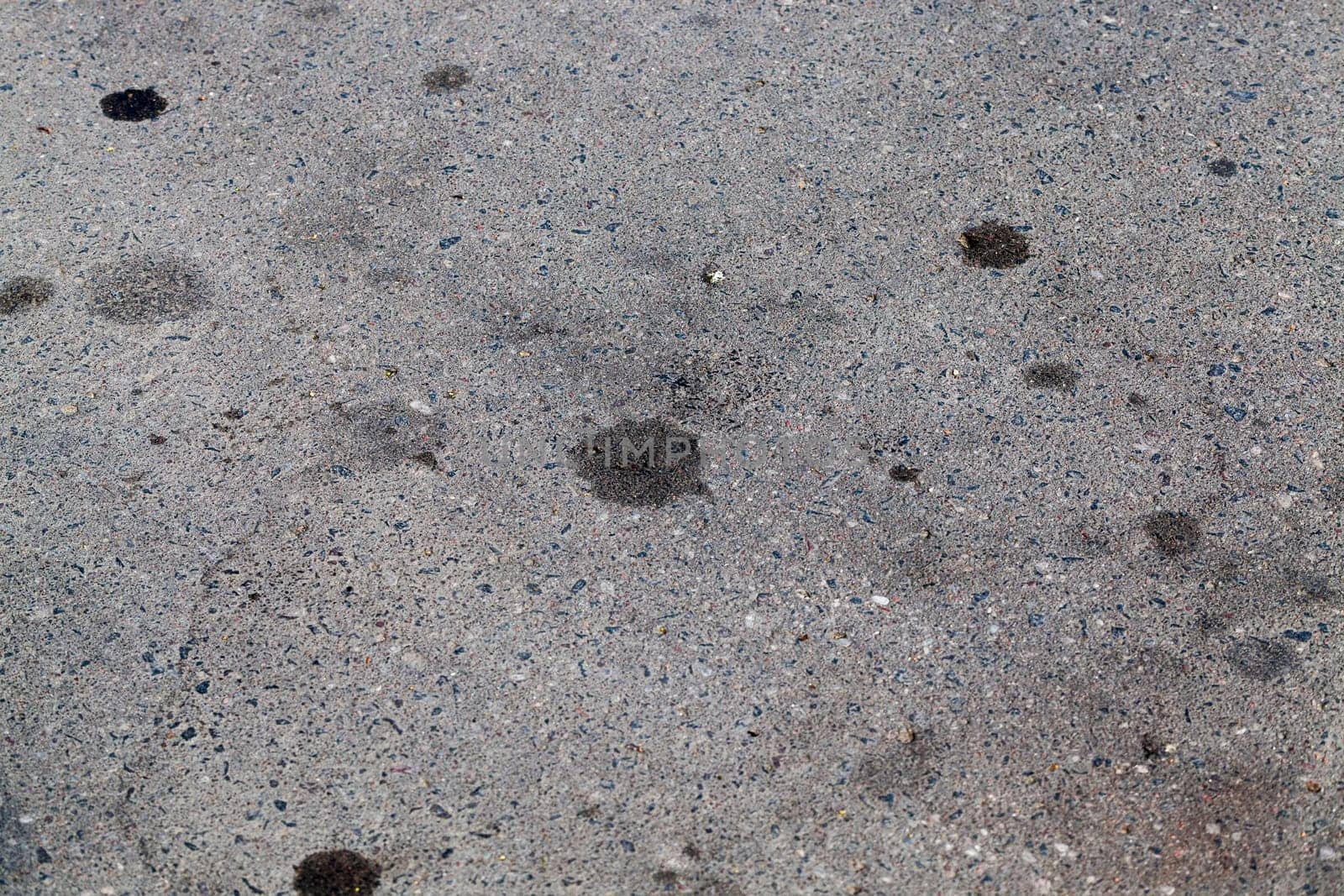 paved road on which there were traces of engine oil leaked from the car