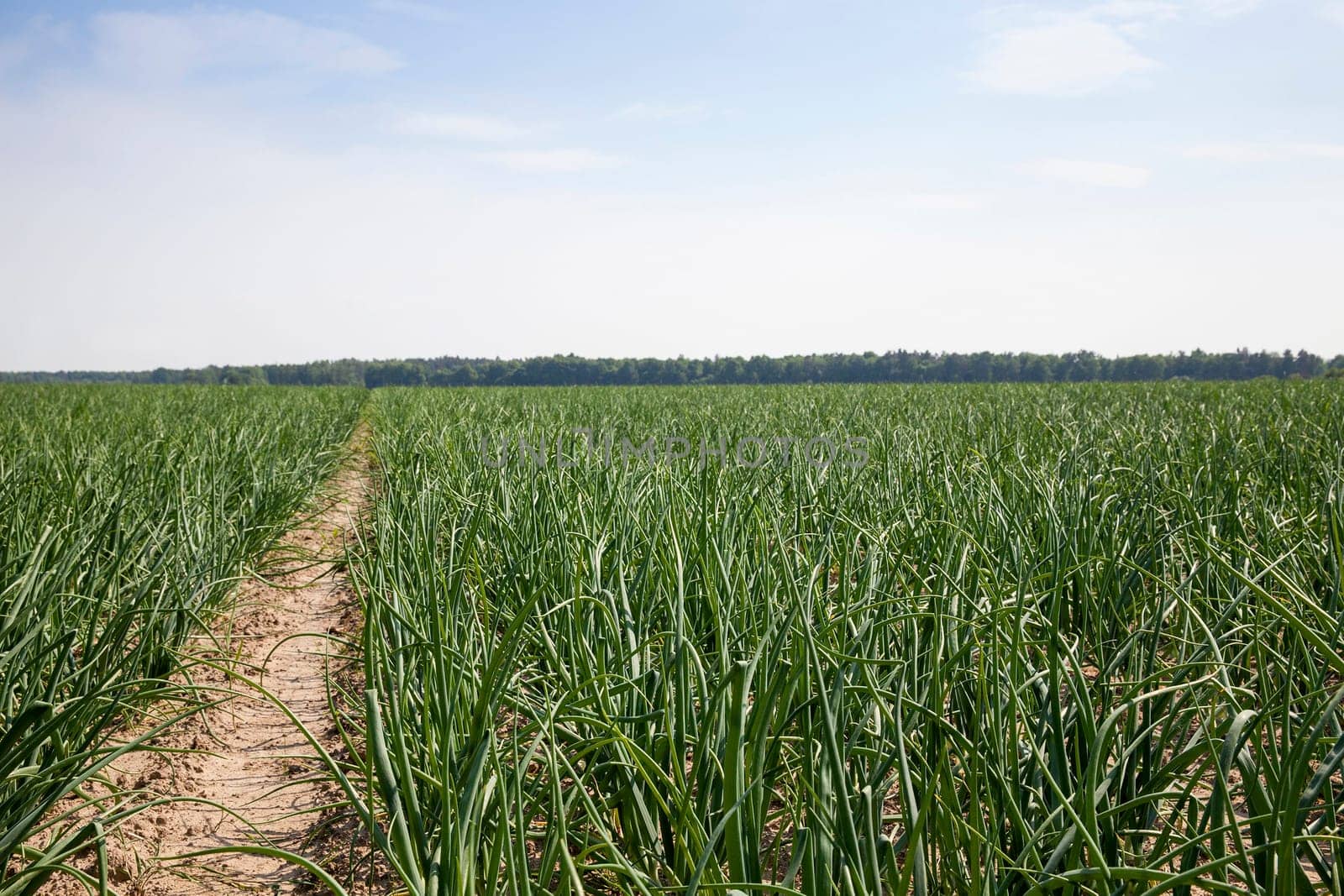 Photo made at the agricultural farm for the production of agricultural products