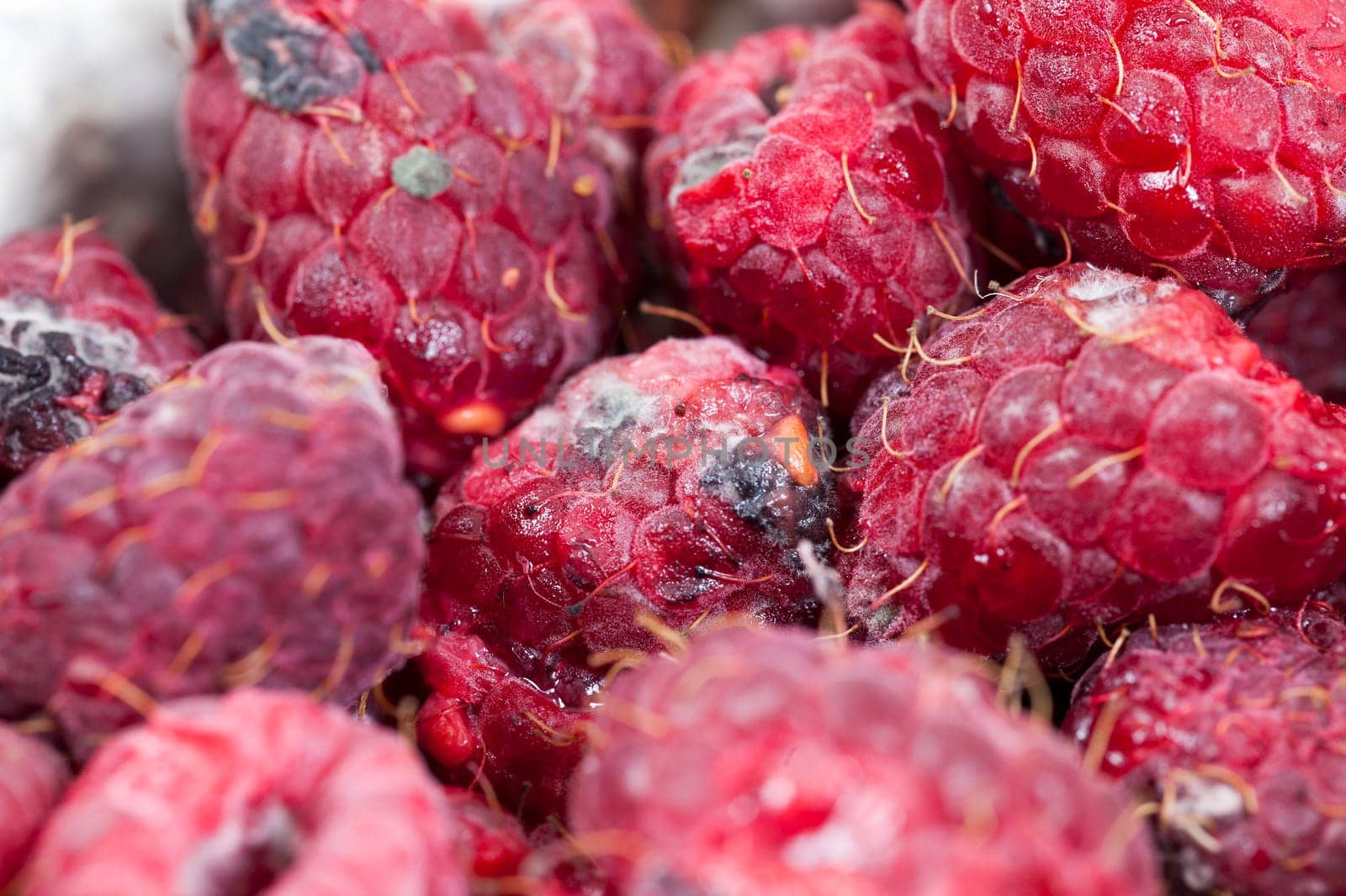 photographed ripe red raspberries, which appeared mold, a small depth of field