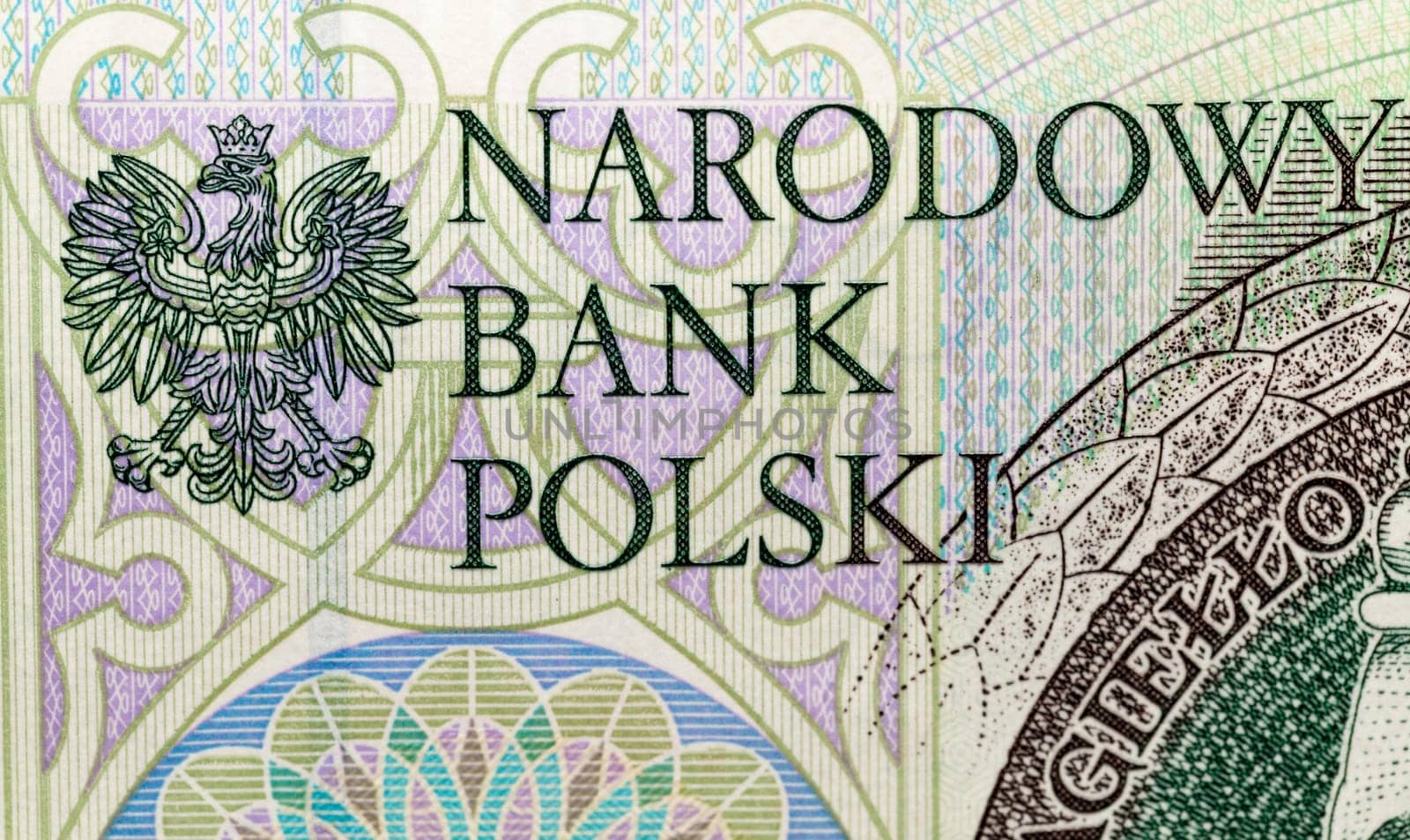 photographed close-up new Polish paper notes with par value of one hundred zloty