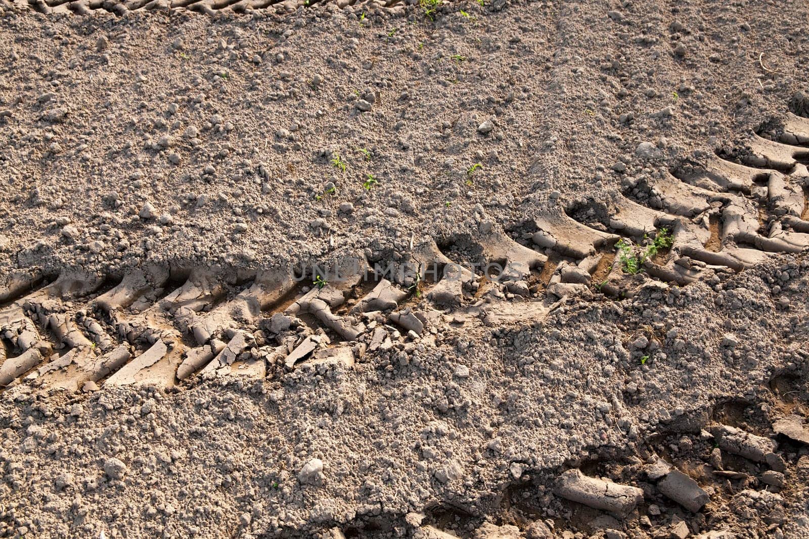 photographed close-up of plowed agricultural field for planting a new crop