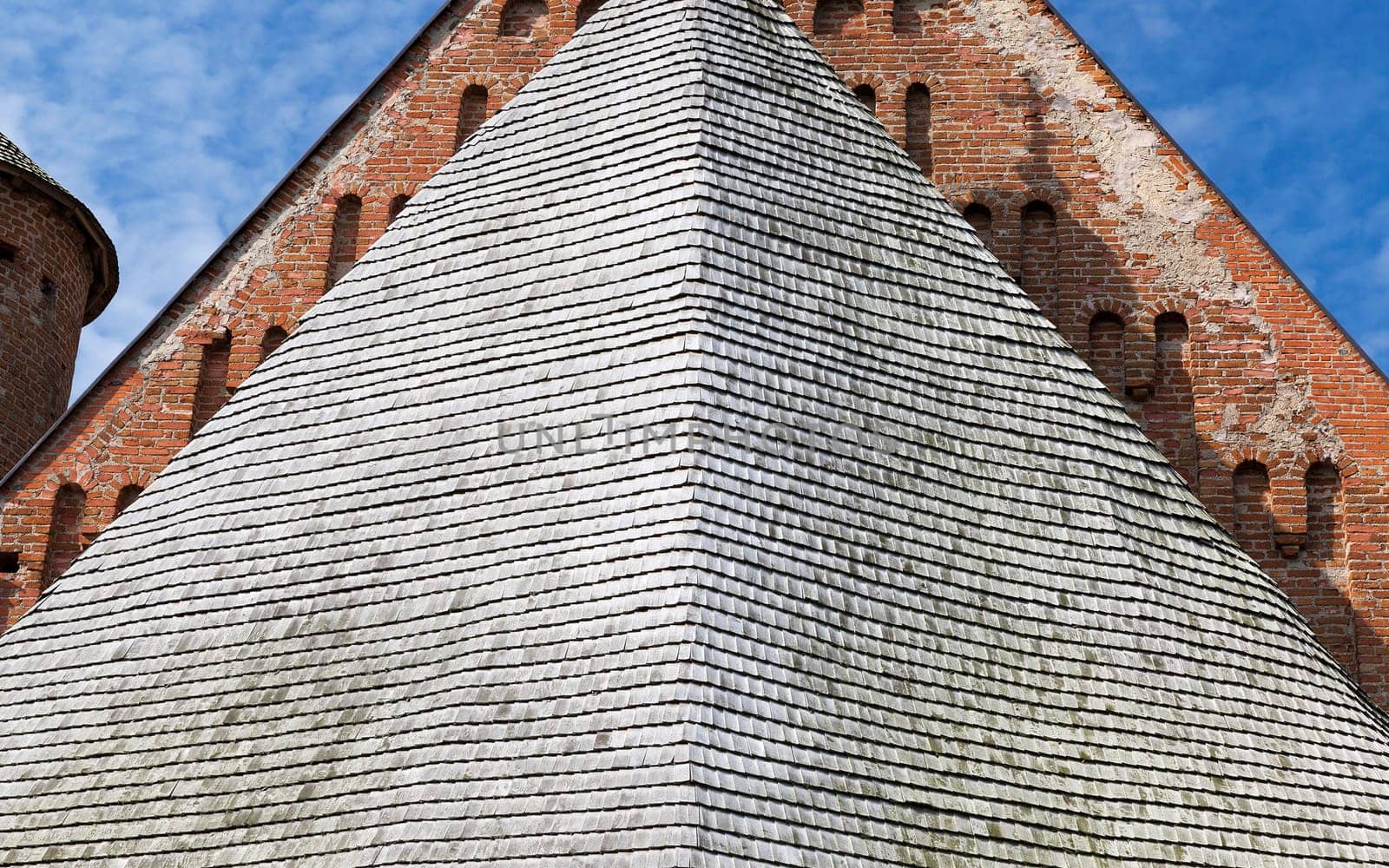 building roof, made of small boards in the absence of other materials