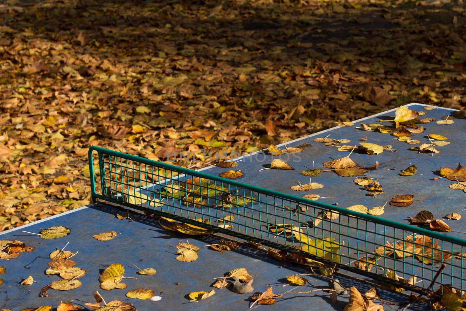 Horizontal outdoor blue ping pong table with metallic net in a park covered in autumn leaves
