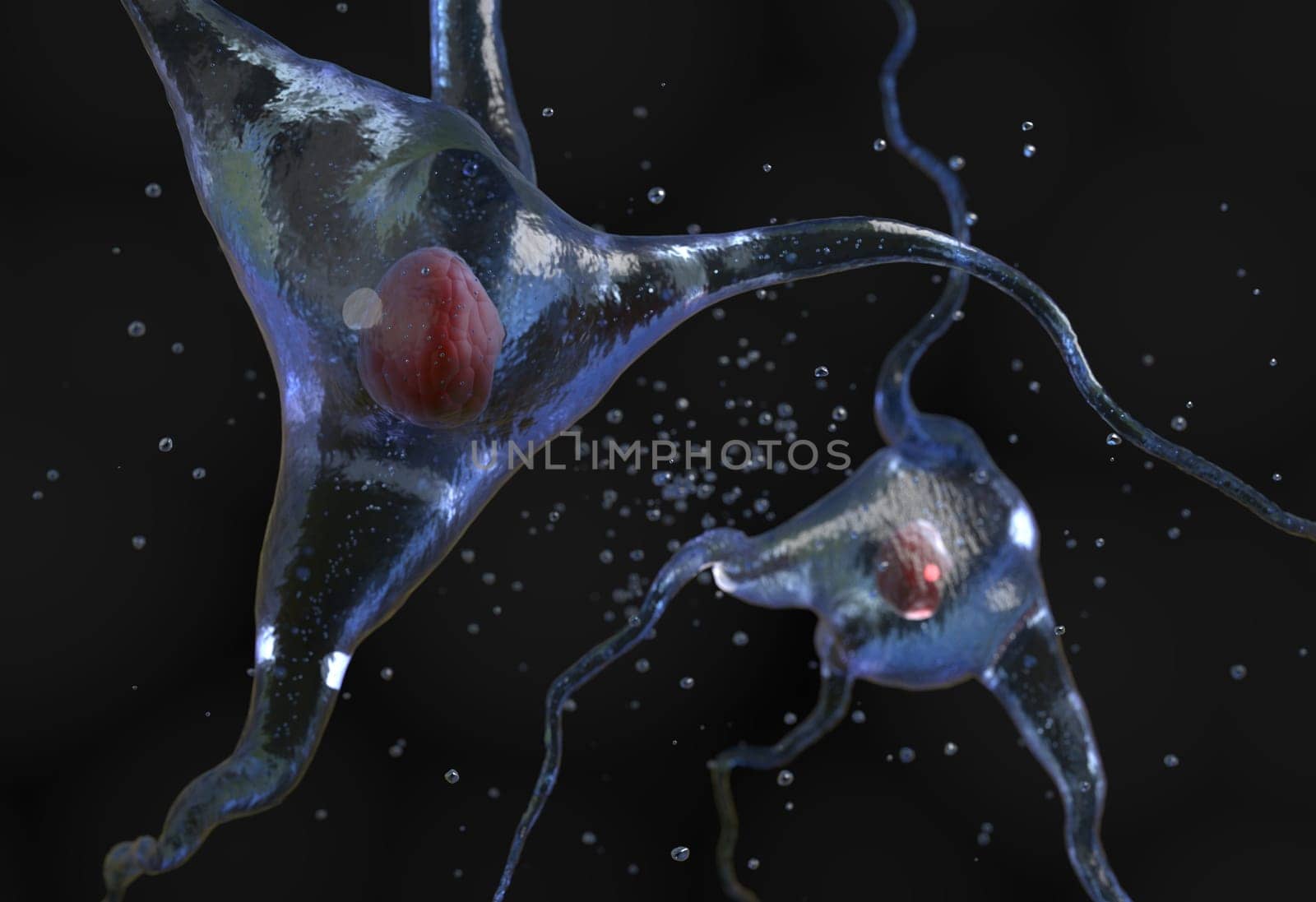 Illustration of the human nerve cell on a black