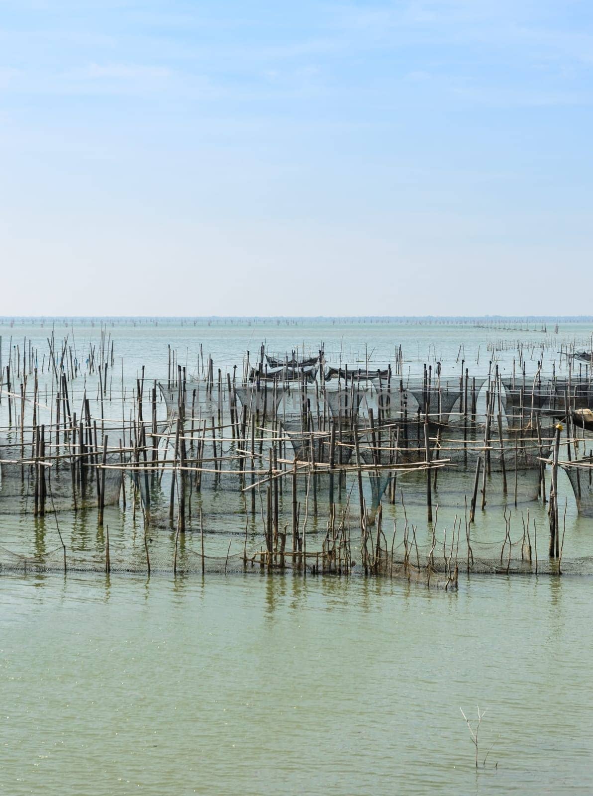 Fish farming in the sea with cages for rearing fish in Thailand