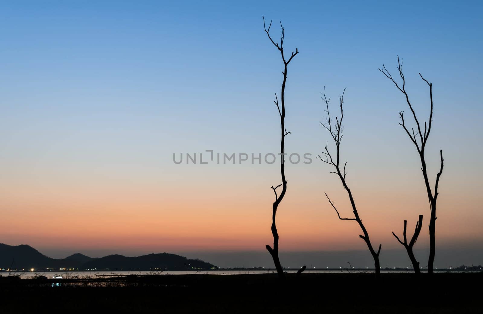 Silhouette dry tree and lake with mountain range background in twilight sky