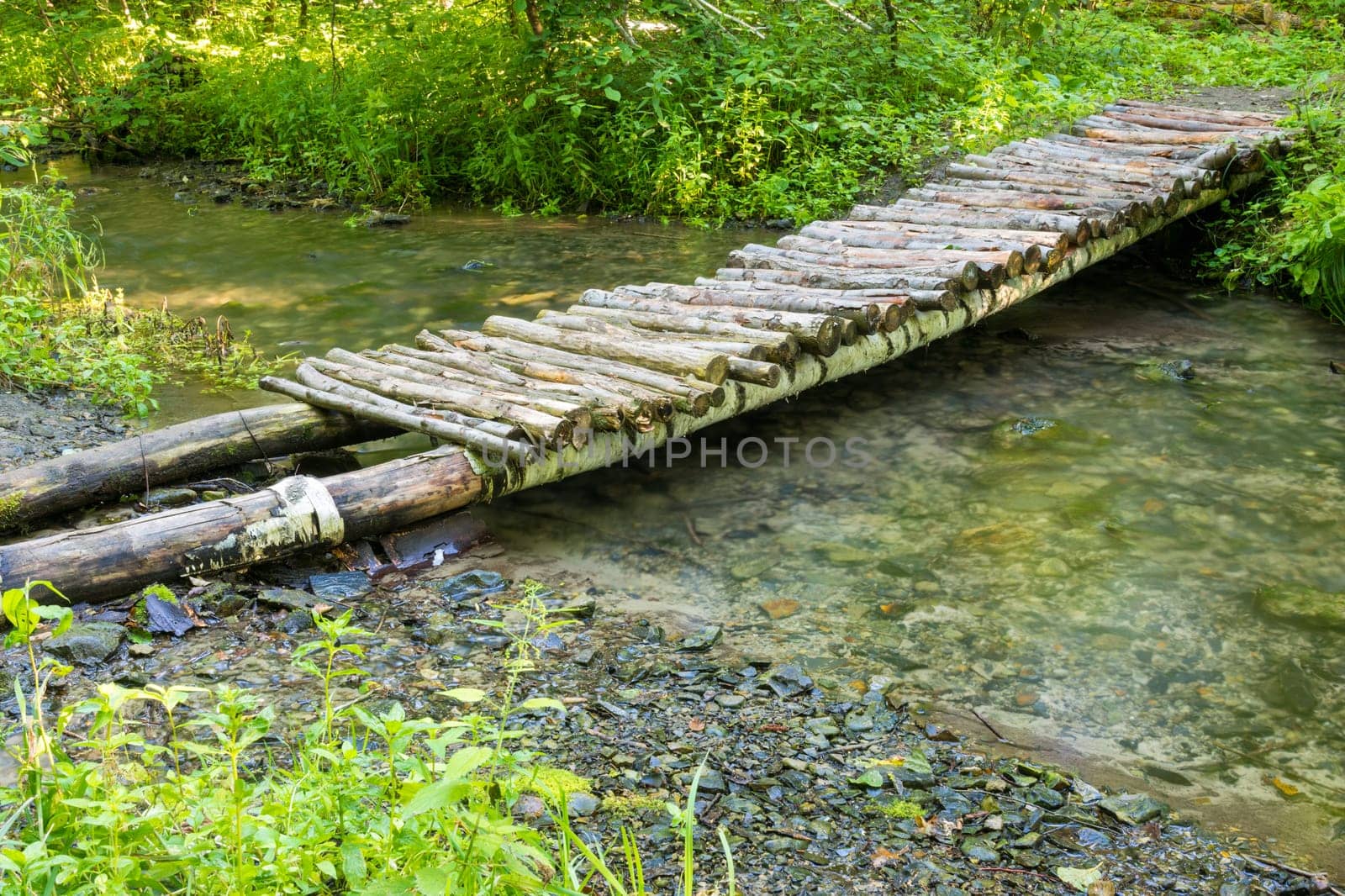 Wooden bridge over a small river forest