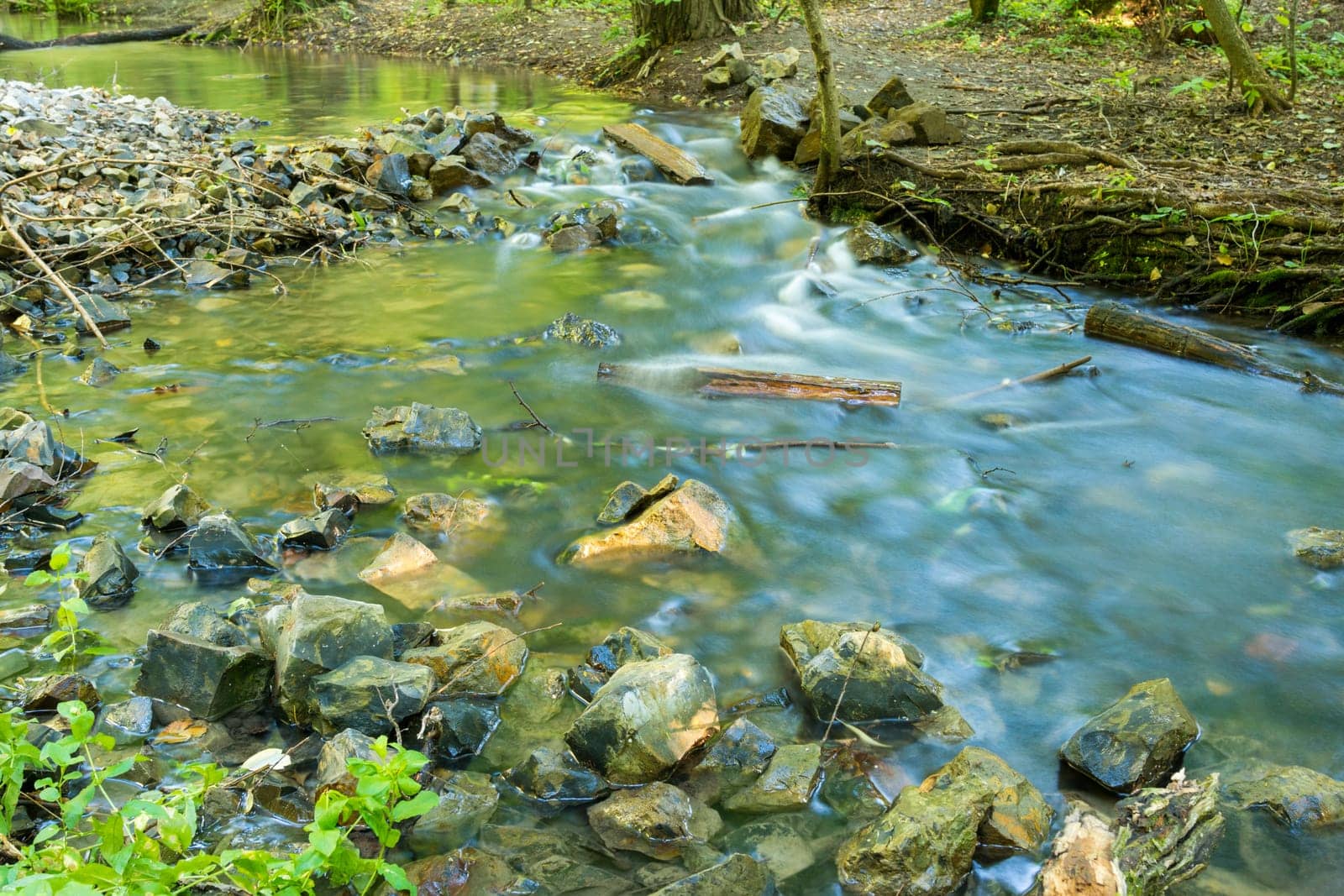 Forest River, Long Shutter