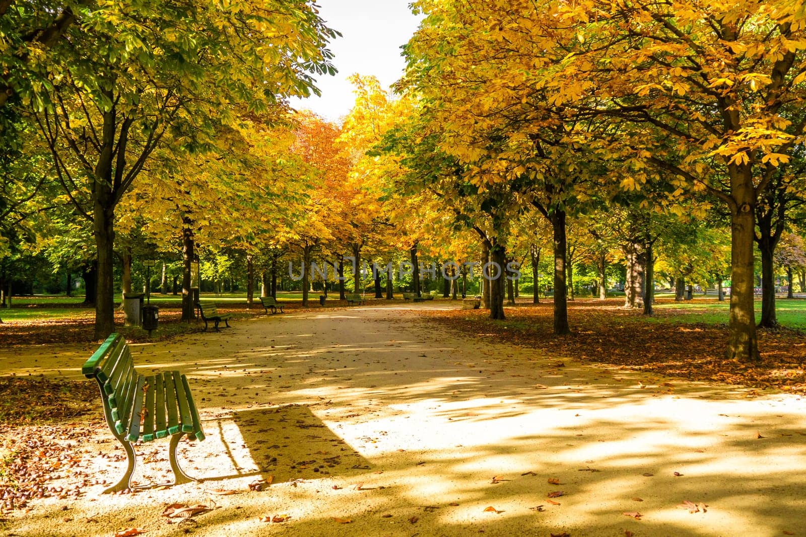 bench in tiergarten berlin at the beginning of autumn