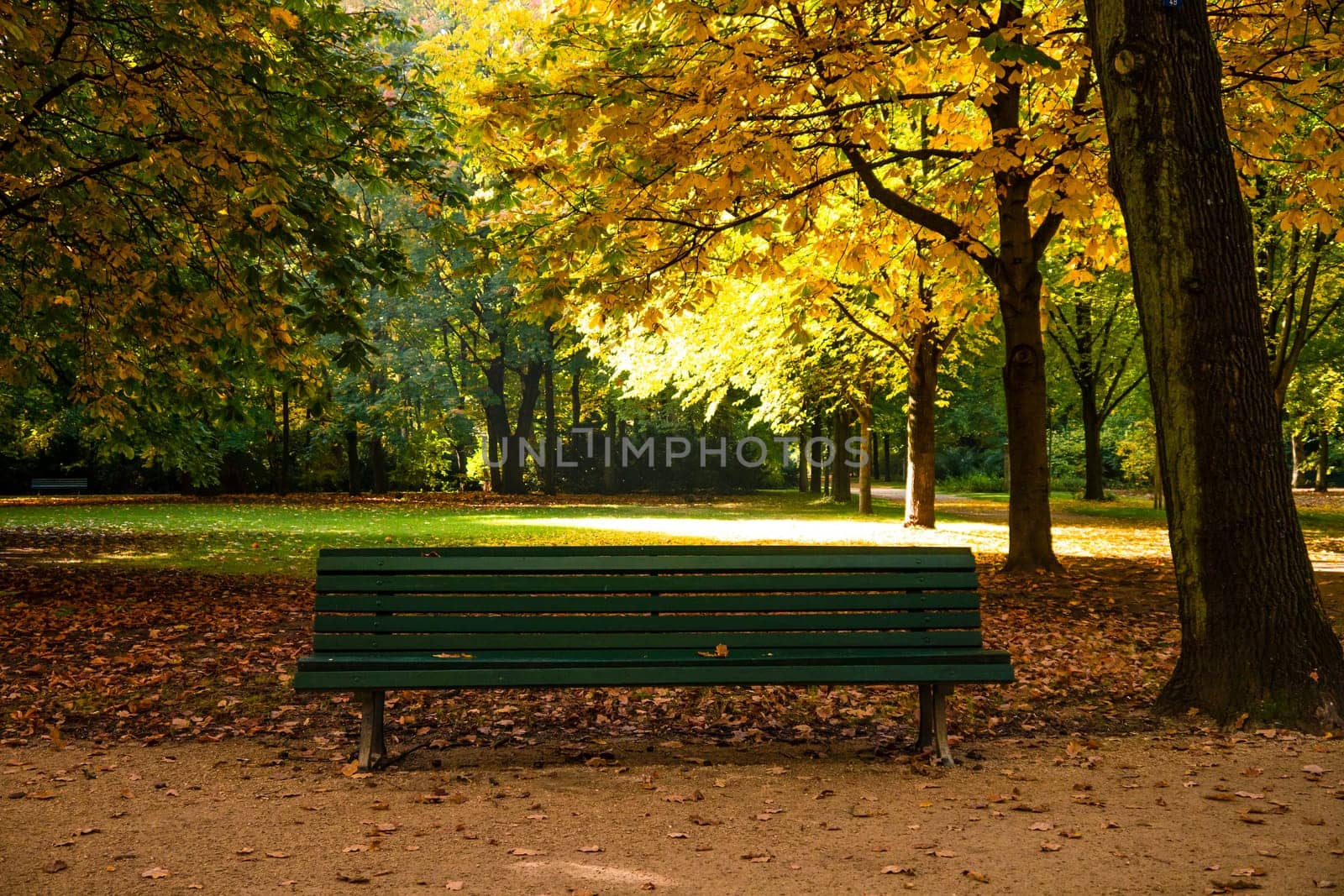 bench in a park at the beginning of autumn