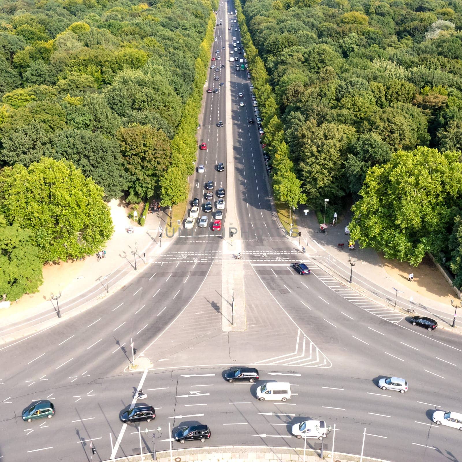 view on tiergarten berlin on a summer day