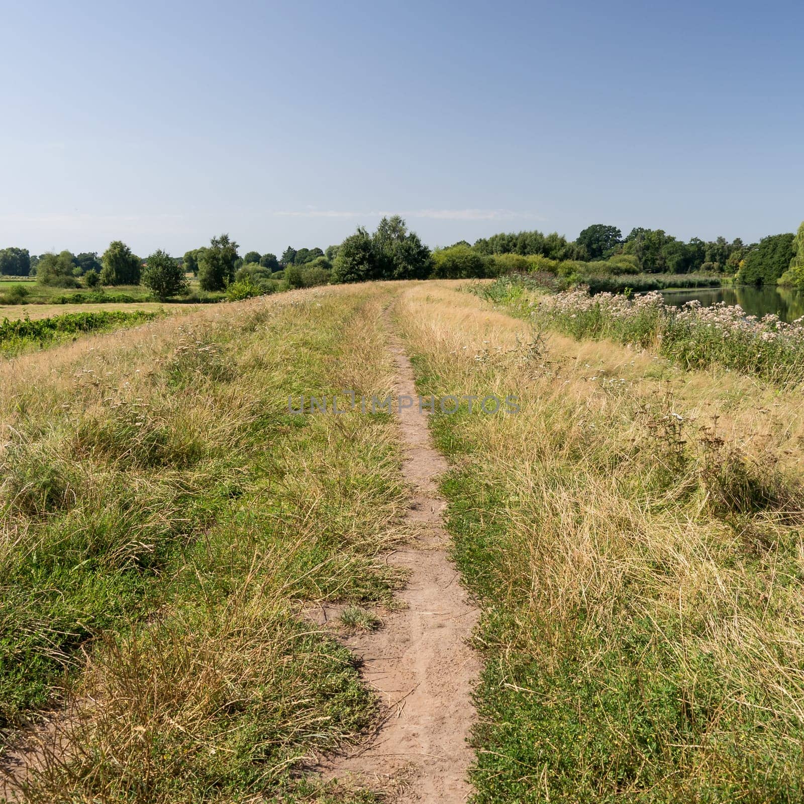 dike in north germany on a sunny day