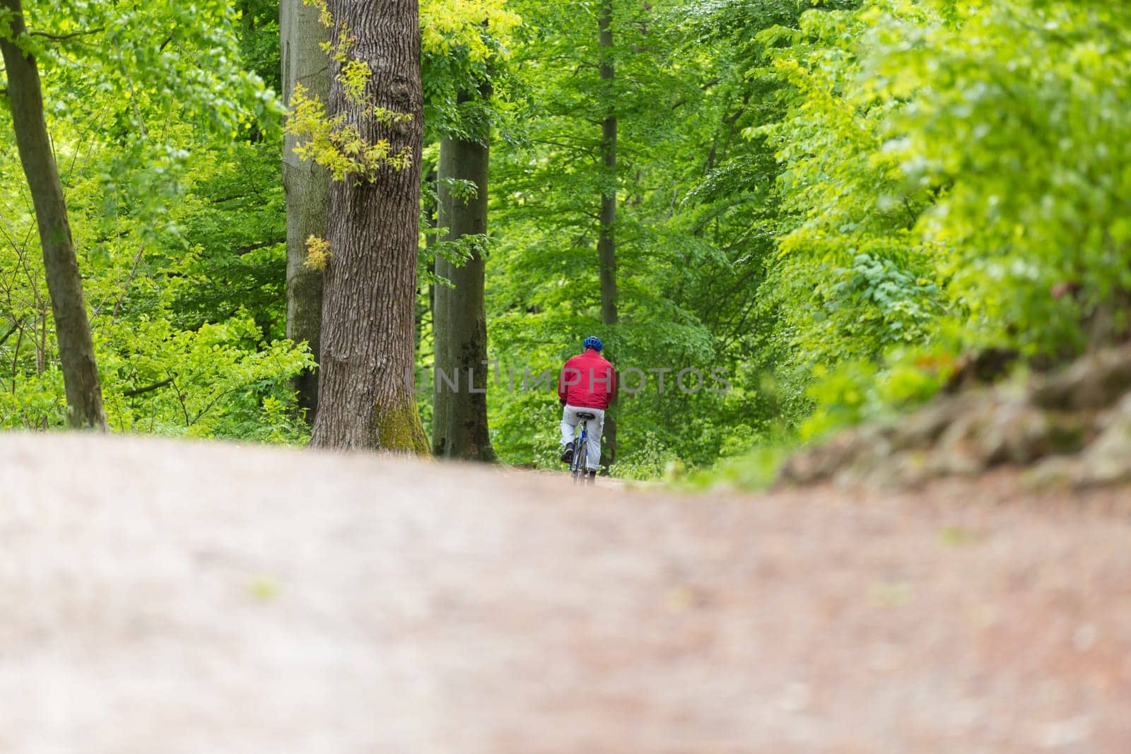 Male Cyclist Riding the Bike on the Beautiful Spring Forest Trail. Rear view. Man Cycling in Nature. Copy space.