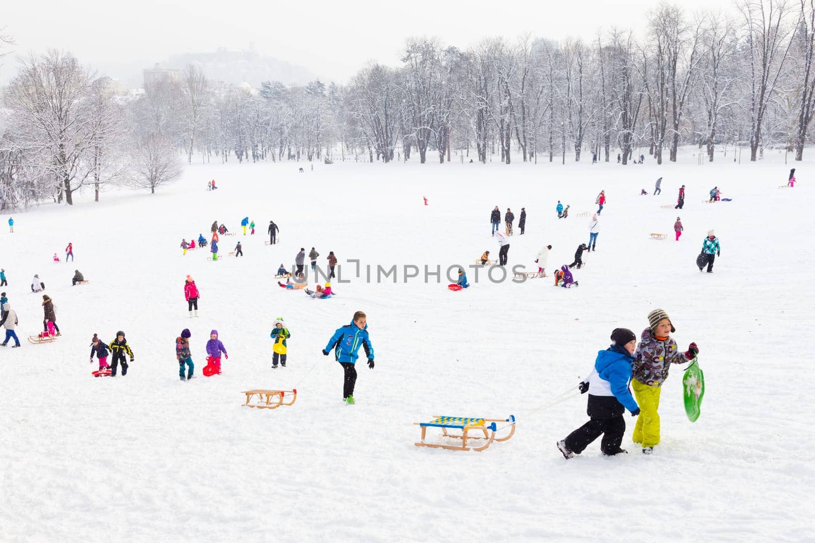 Ljubljana, Slovenia - Jan 3, 2016: Children sledding and having fun on first winter snow in Tivoli city park in Ljubljana on last day of Christmas holidays on January 3, 2016.