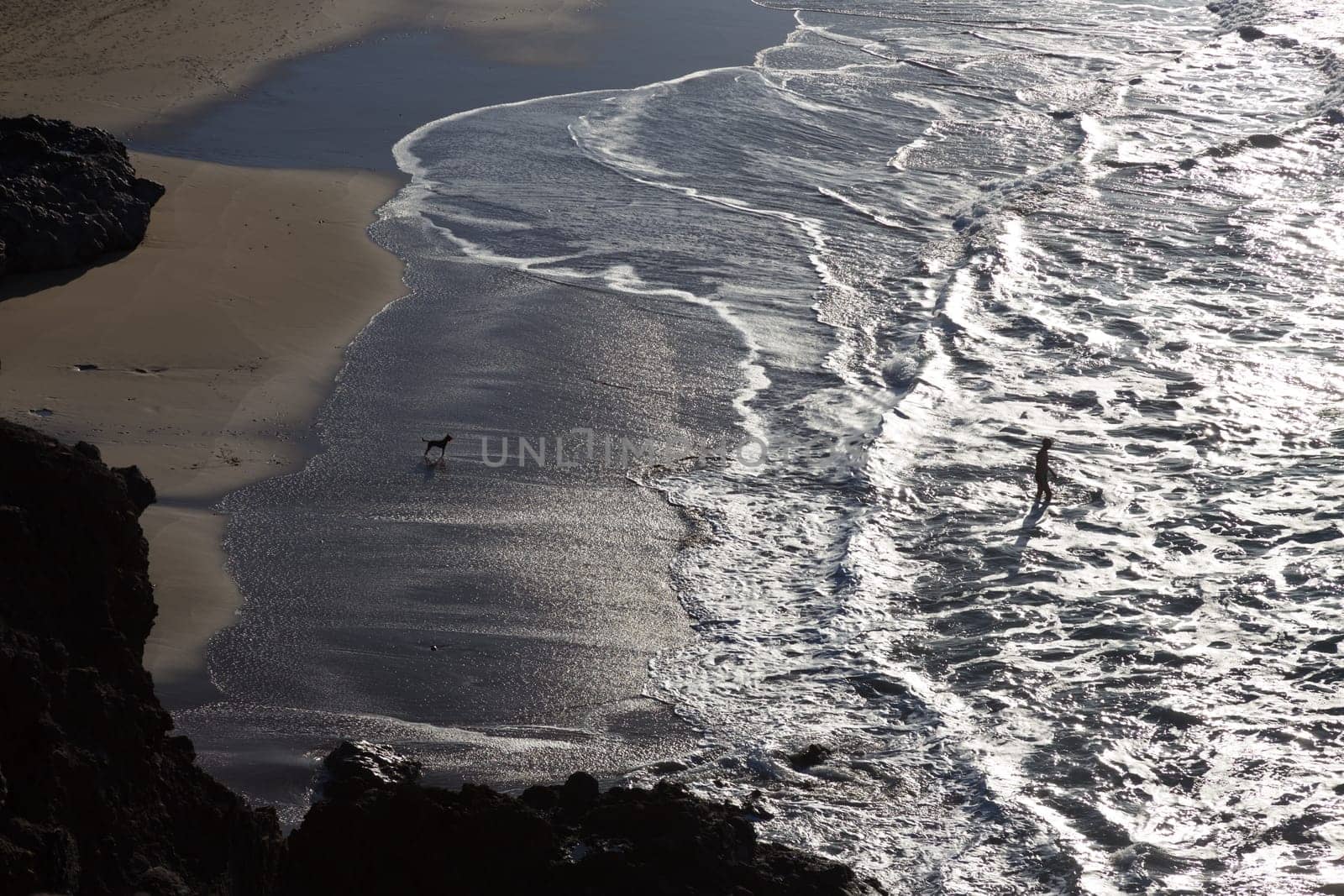 Silhouette of man and dog having fun on surfers beach of La Pared, Fuerteventura, Canary Islands, Spain.