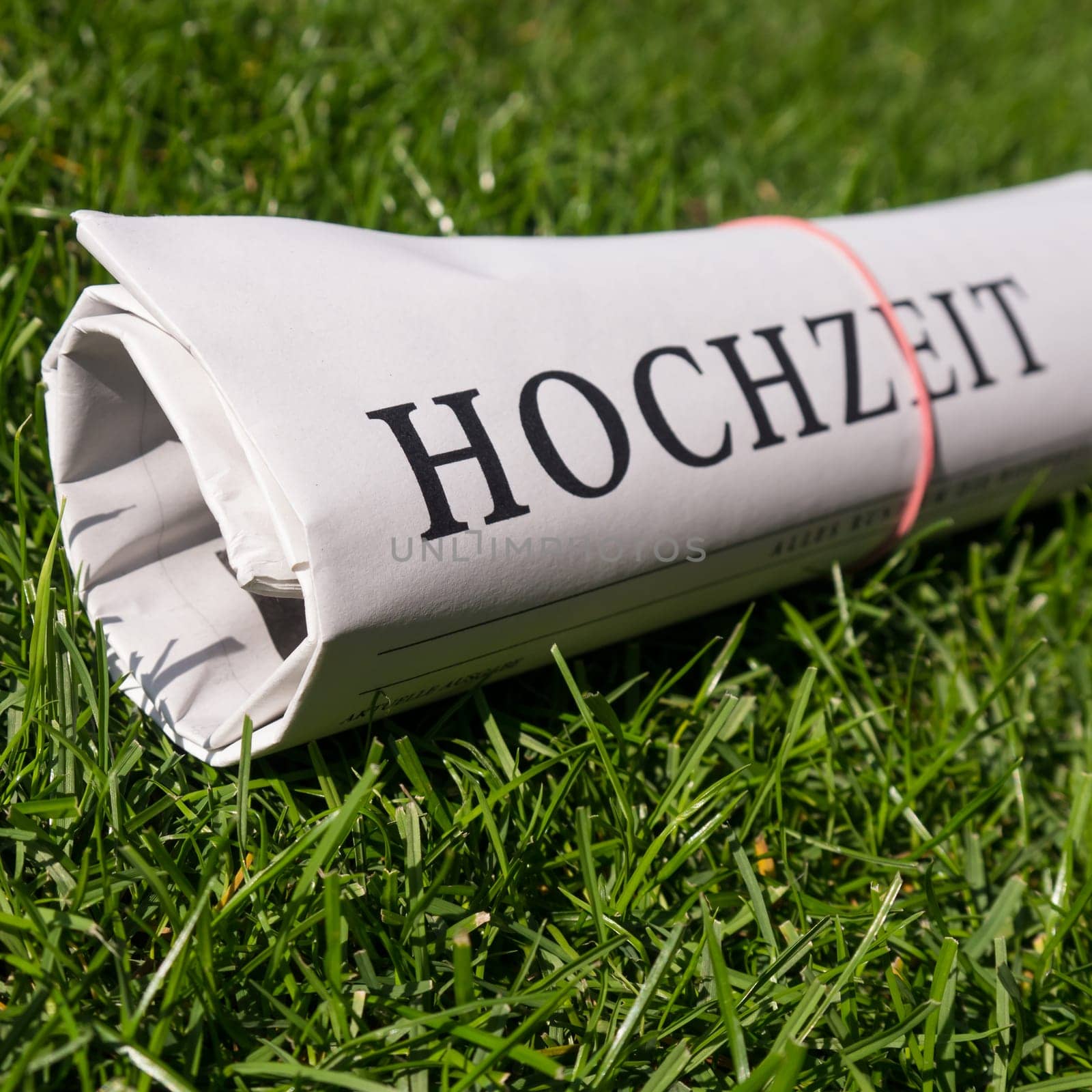 wedding newspaper on green meadow
