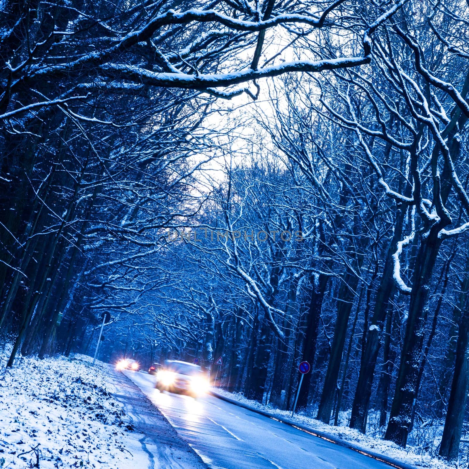 road in winter forest in evening