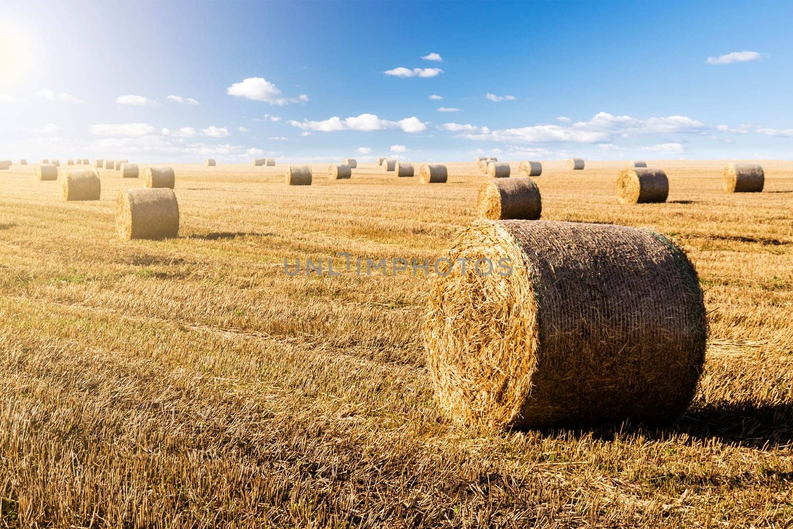 straw bales in summer with blue sky and sunlight