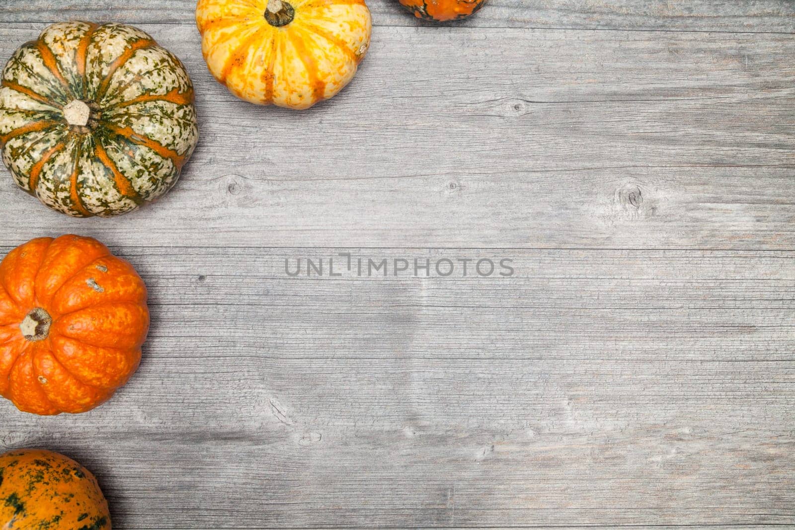 pumpkins on grey table for halloween