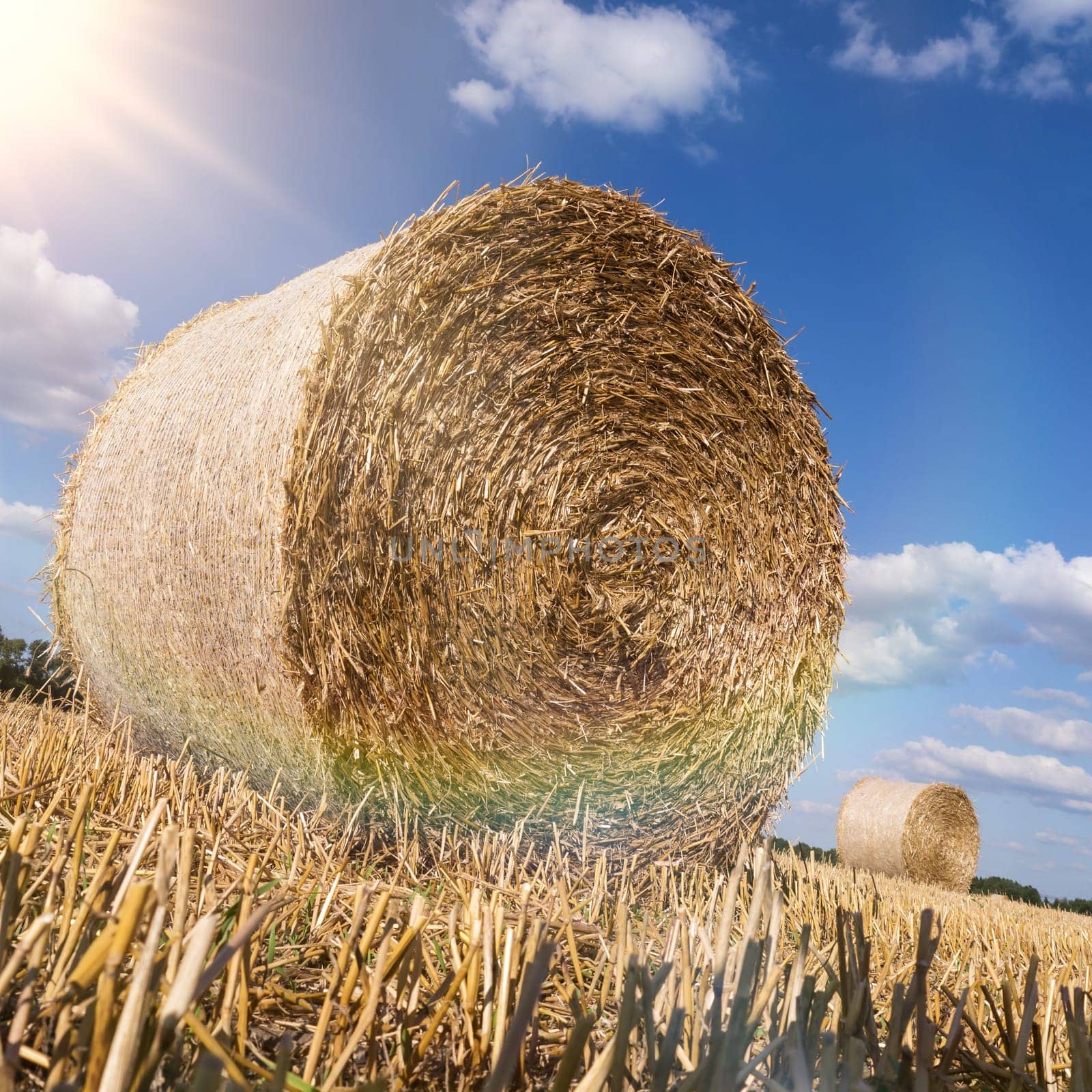 Straw bales in late summer