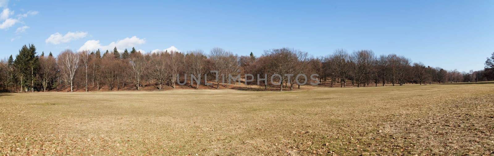 park in early spring (panorama)